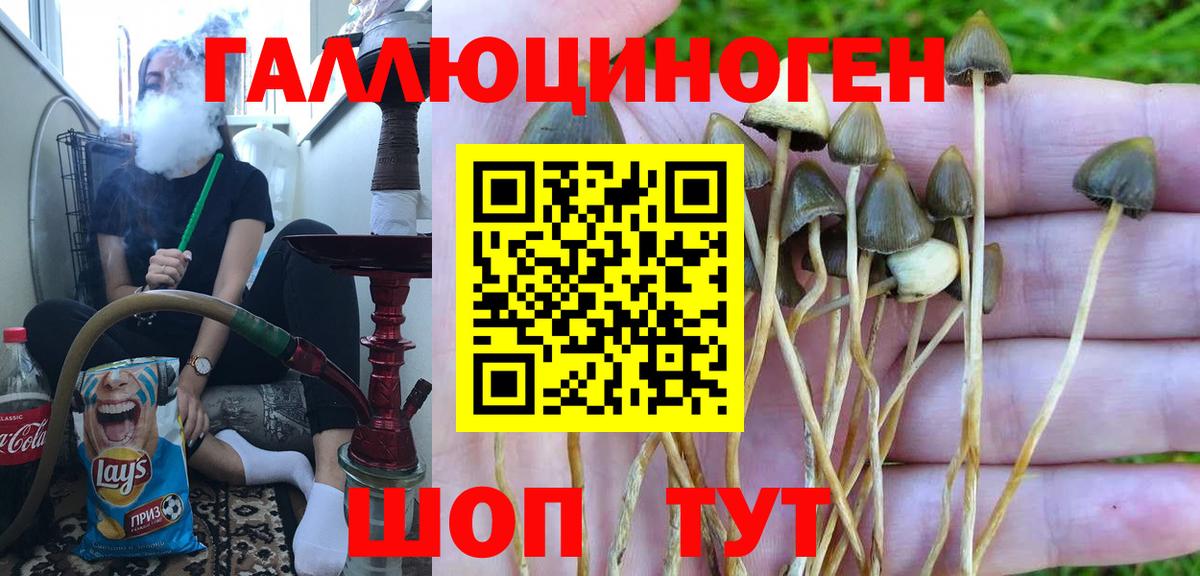 Галлюциногенные грибы ЛСД Чайковский