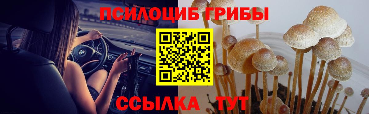 Галлюциногенные грибы Cubensis  Псилоцибиновые грибы Magic Shrooms  Вход с VPN  Чайковский 